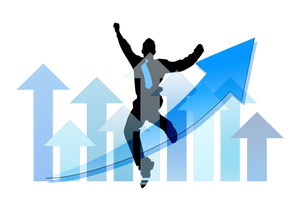 米兰体育足球-中国篮球职业俱乐部财务风险管理实践，篮球俱乐部经营与管理